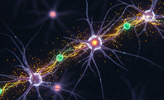 an image of firing neurons against a black background