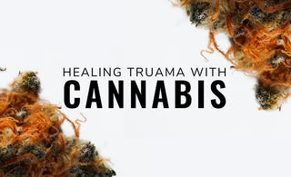 Healing Trauma With Cannabis