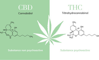 an image showing a contrast between the structure of CBD and THC molecules