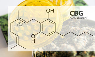 an image of the structure of a cannabigerol (CBG) molecule