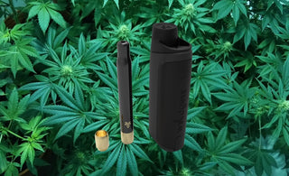 the weedgets x5 One-Hitter pipe against a background of marijuana plants